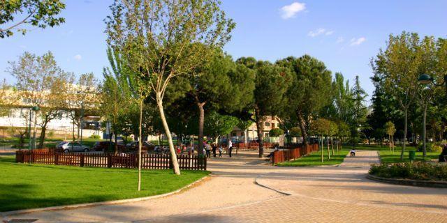 ¿Cree que los parques y jardines del municipio están bien cuidados y conservados?