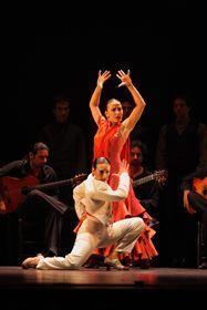 El Ballet Nacional de España regala arte en estado puro