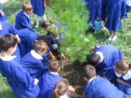 200 alumnos plantan cerca de 1.000 árboles autóctonos con el Aula de Educación Ambiental