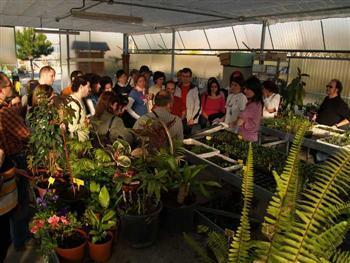 El Hospital de Plantas cuidó en verano 350 plantas y propone para el otoño un 'huerto sobre ruedas'