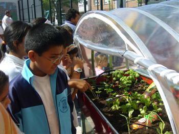 El programa Eco-escuelas lleva el desarrollo sostenible a 16 centros educativos