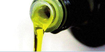 Conferencia y  Cata de aceite de oliva en Pozuelo