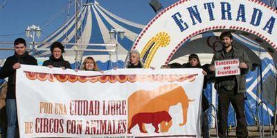 Polémica en torno al Circo Quirós en su visita a Pozuelo