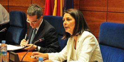 Paloma Adrados expone las primeras medidas de ahorro en el Pleno