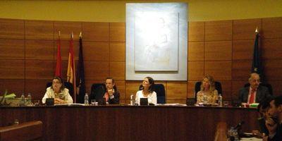 El Pleno aprueba una declaración en apoyo del orden constitucional en el País Vasco