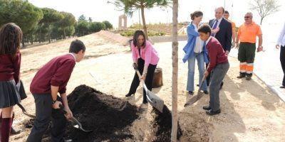 El Ayuntamiento plantará 600 nuevos árboles en zonas de Pozuelo