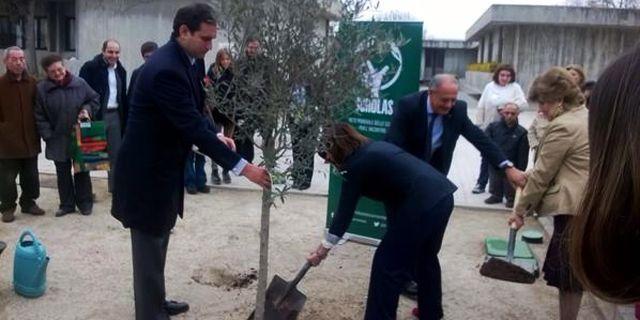 Cuatro niños de la Fundación Gil Gayarre de Pozuelo plantan el “olivo de la paz” 
