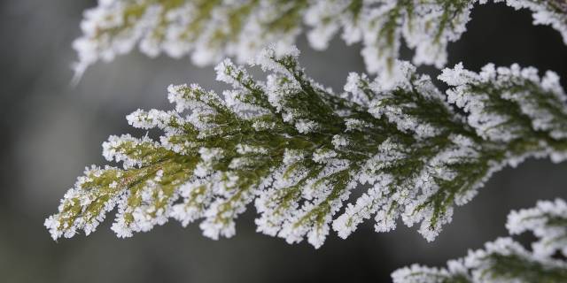 Los vecinos de Pozuelo podrán recoger sal en el Punto Limpio ante la previsión de nevadas