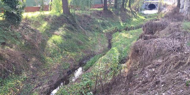 Vertidos de aguas fecales convierten el arroyo Pozuelo en un vertedero 
