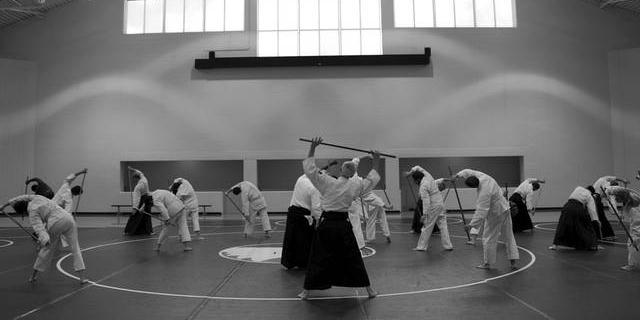 El Fitness Sports Valle de las Cañas ofrecerá clases de Aikido a partir de enero