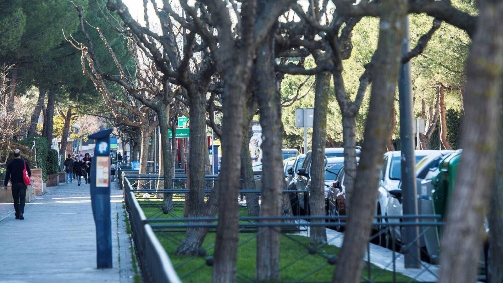 Pozuelo de Alarcón es la ciudad con mayor esperanza de vida de España   