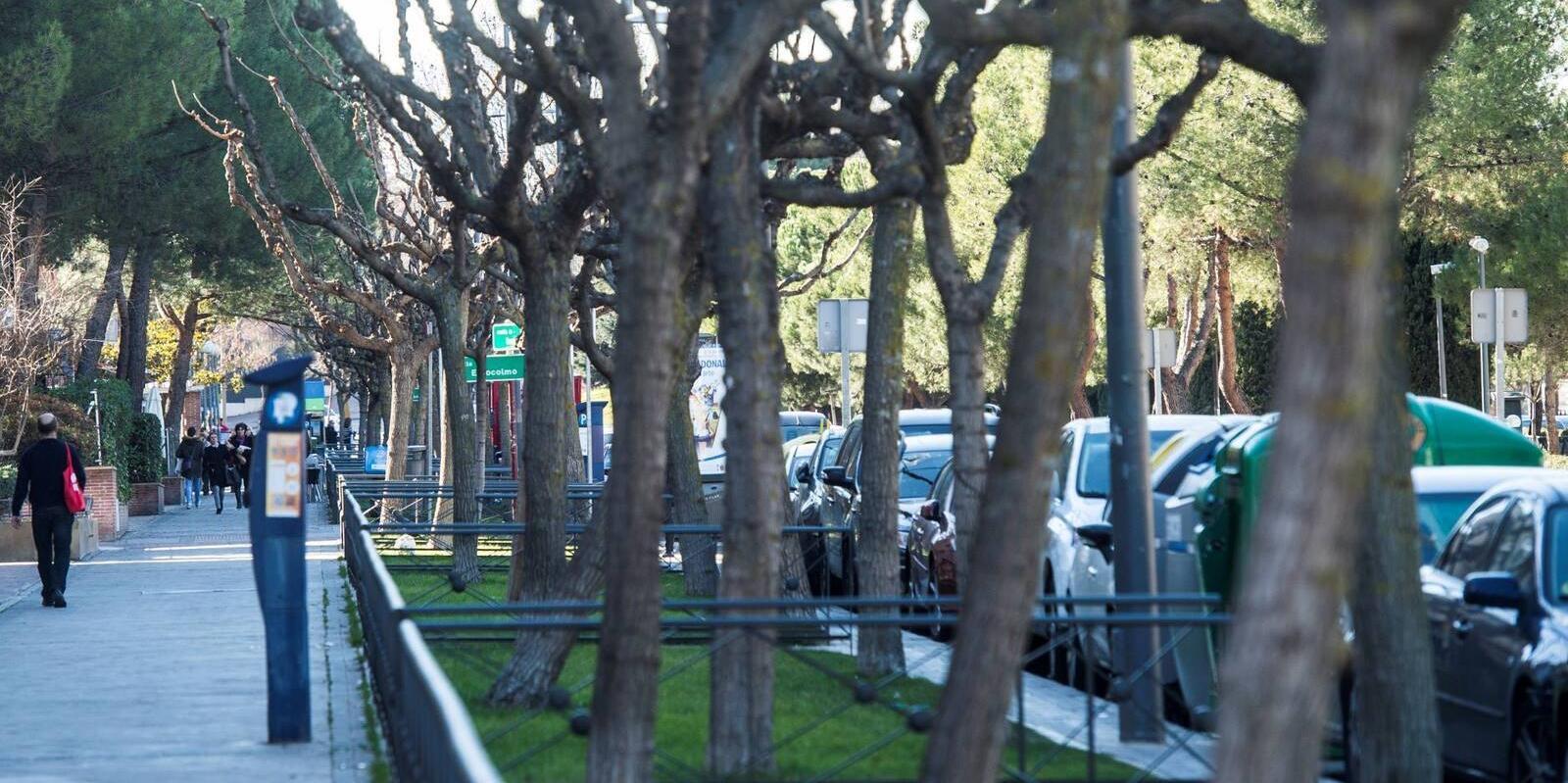 Cs Pozuelo propone que los comerciantes puedan aparcar en zona verde