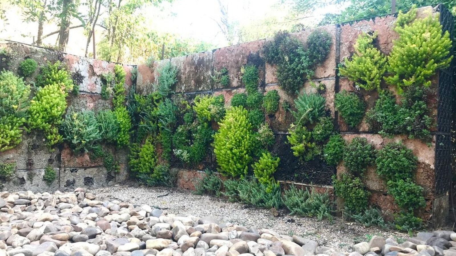 El Aula de Educación Ambiental da a conocer la jardinería vertical a los escolares de Pozuelo