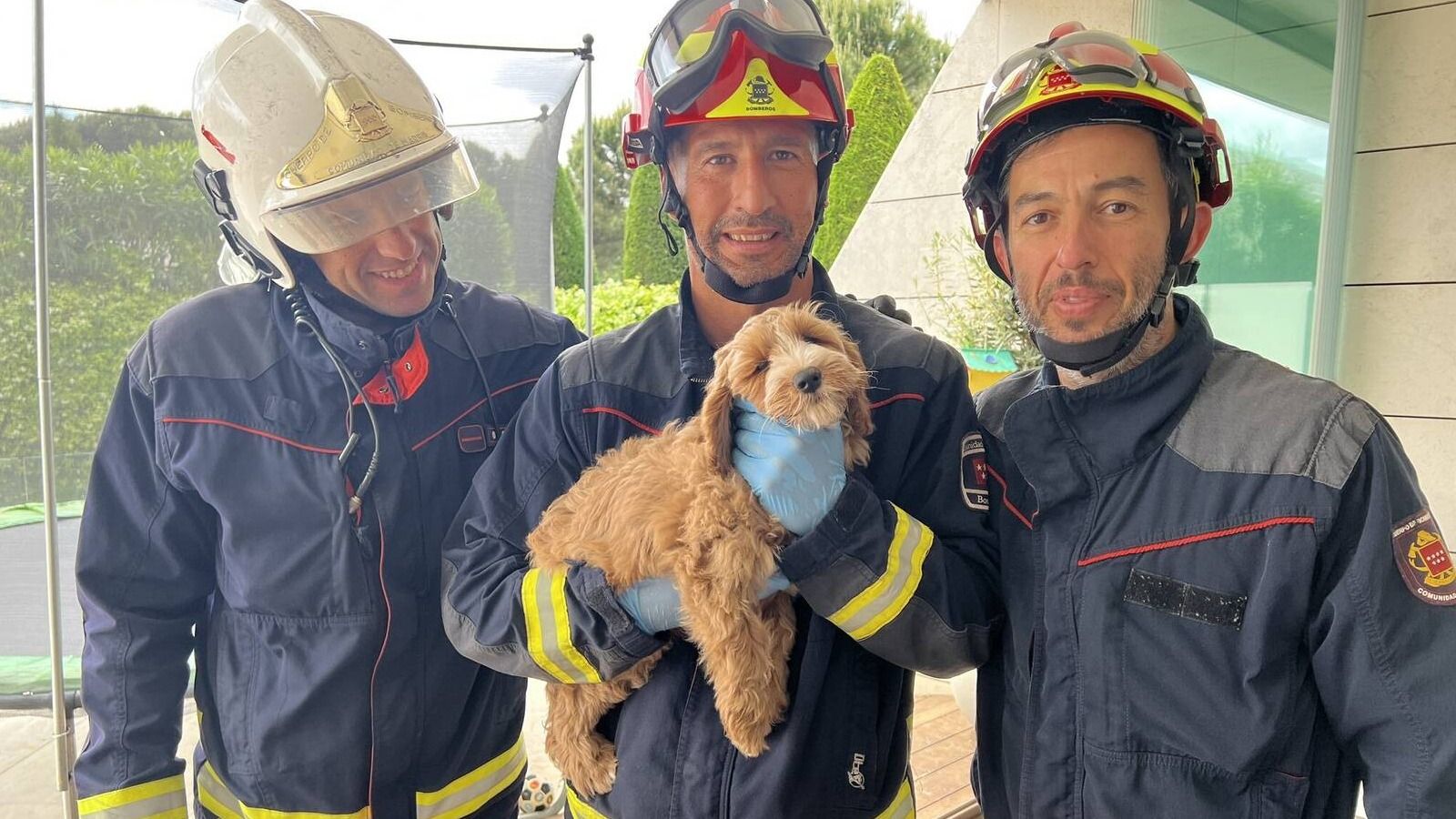 Los bomberos rescatan a un cachorro atrapado en el cerramiento de un chalé de La Finca