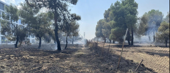 sofocado-un-incendio-de-vegetacion-en-pozuelo-junto-a-la-m-40