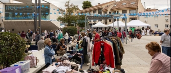 pozuelo-celebra-el-26-de-octubre-una-nueva-edicion-del-mercado-de-segunda-vida-con-mas-de-100-puestos