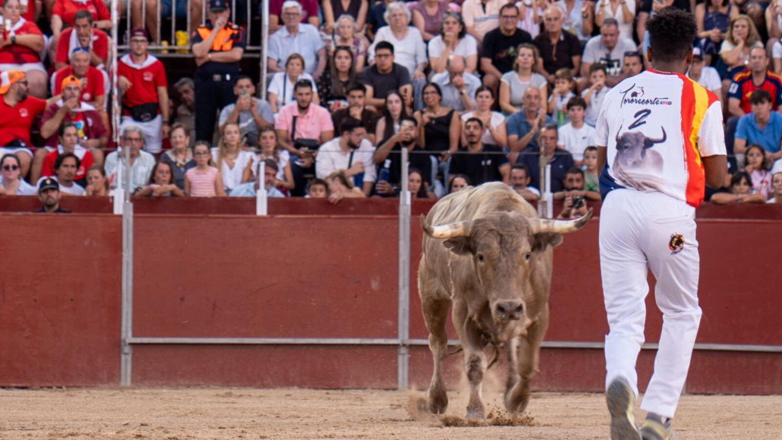 Pozuelo celebra el tradicional concurso de recortes