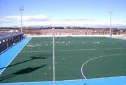 Se reanuda la liga de hockey nacional