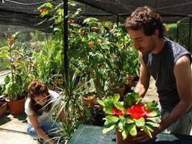 El Hospital de Plantas cuidará 500 ejemplares durante el verano