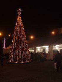 El alumbrado navideño inicia la programación cultural para esta festividad