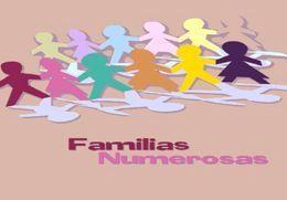 La Comunidad prevé que en 2008 más 10.000 familias soliciten el carné de familia numerosa