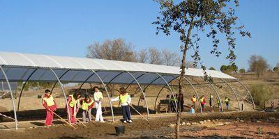 Metro Ligero Oeste ha puesto en marcha la II Jornada de Huerto Solidario