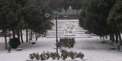 Pozuelo se prepara ante las posibles nevadas