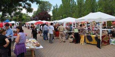 El Ayuntamiento de Pozuelo organiza la Feria de Asociaciones un año más