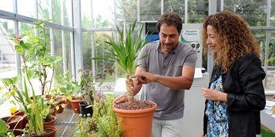 El Hospital de Plantas dispone de un nuevo invernadero climatizado