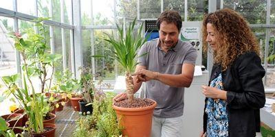 Los vecinos de Pozuelo ya pueden recoger sus plantas del Hospital