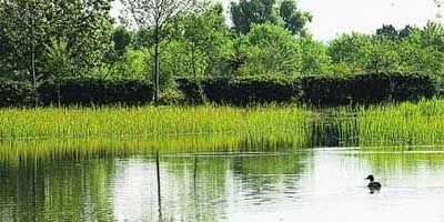 Paloma Adrados inaugura las lagunas del Parque Forestal de Somosaguas