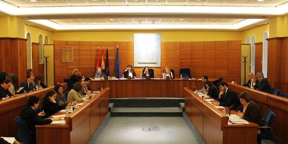 130321 pleno pozuelo 02