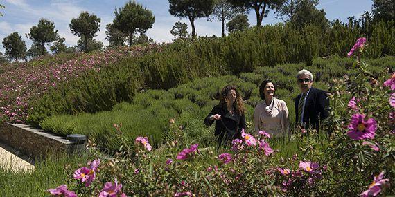 Comienza la campaña de plantación de flor de temporada