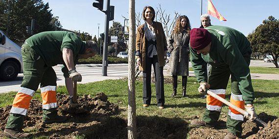 20.000 nuevos árboles y arbustos en Pozuelo