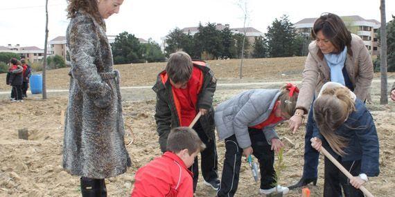 Los escolares reforestan Pozuelo 