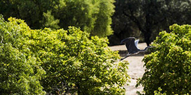 El Parque Forestal 'Adolfo Suárez' ya abre al público todos los días del año