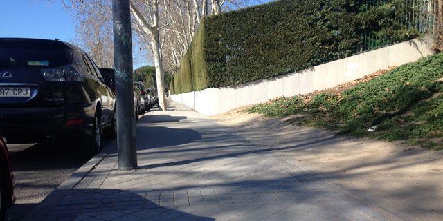 150313-arbol-carril-bici-pozuelo