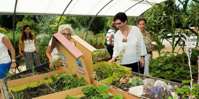 El "Hospital de plantas" de Pozuelo goza de gran salud