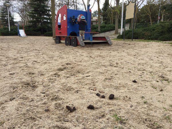160107-cacas-parque-pozuelo