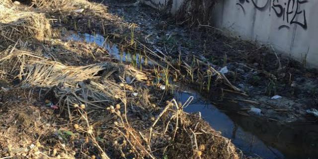 El Ayuntamiento se queda sin excusas para mantener en buenas condiciones los arroyos de Pozuelo