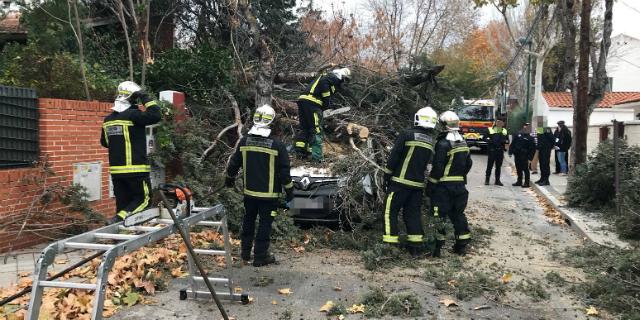 La caída de un árbol en Pozuelo provoca daños materiales y el corte de una calle