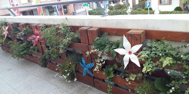 Los jóvenes de Pozuelo aprenden jardinería de diseño en el CUBO