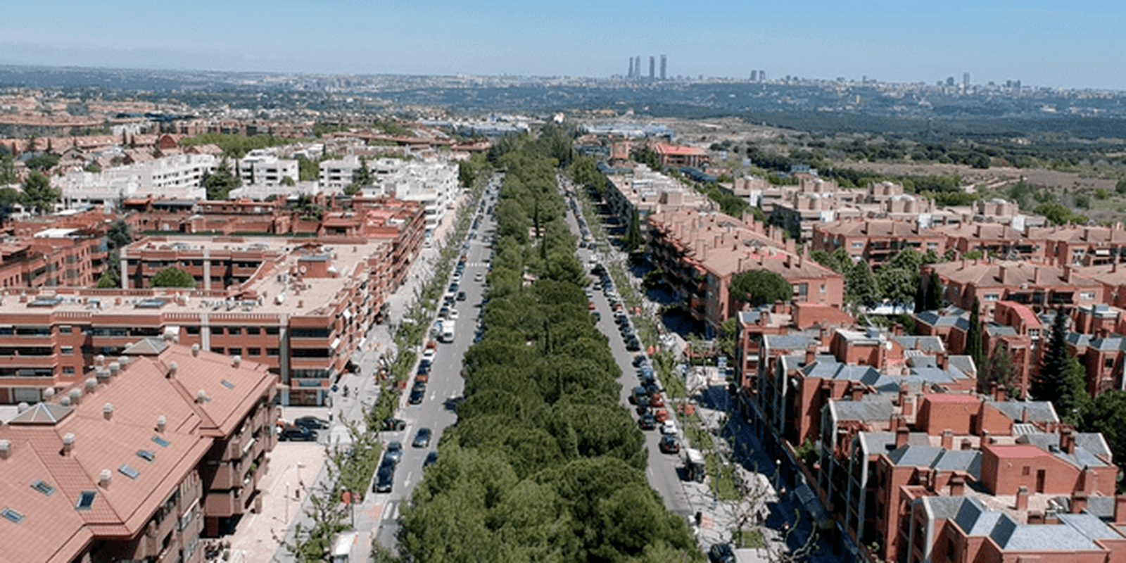 El Gobierno municipal destinará más de 107.000 euros a la prevención y control de plagas en Pozuelo