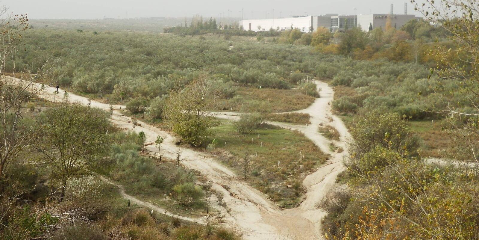 La Comunidad de Madrid crea un nuevo corredor ecológico de biodiversidad en el entorno del Arroyo Valchico