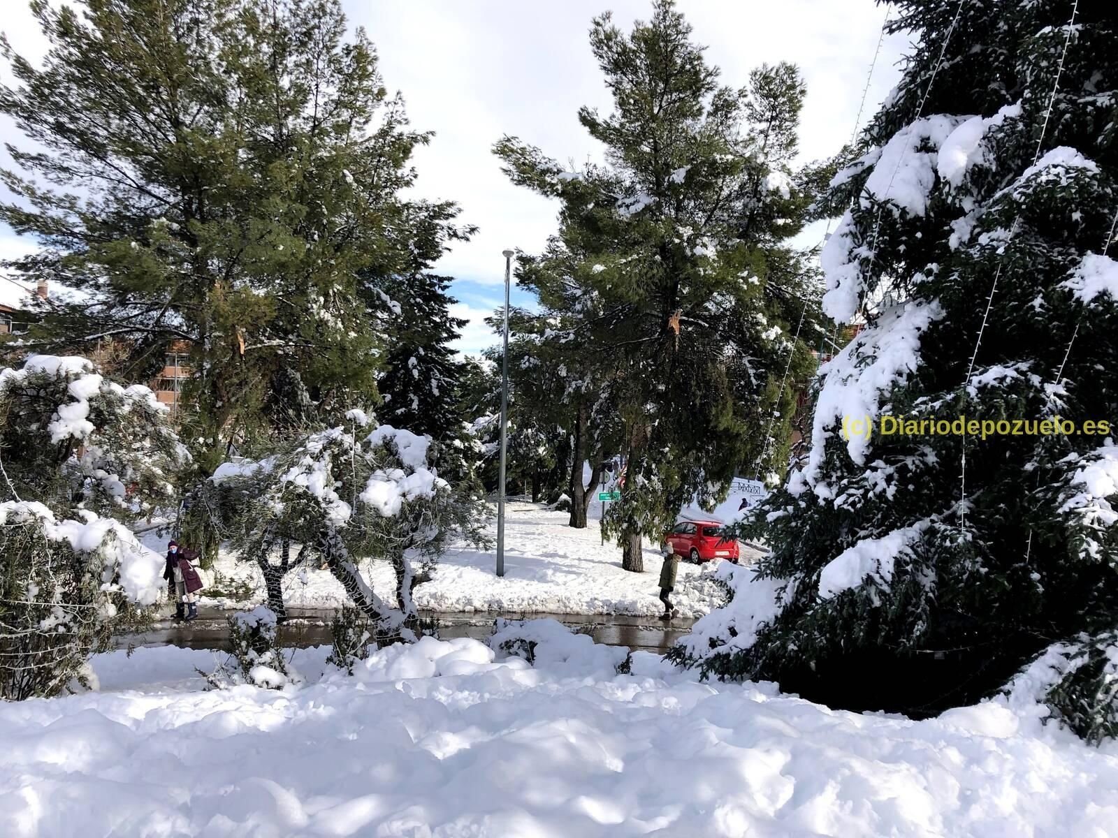 La madre de todas las nevadas de Pozuelo, en imágenes