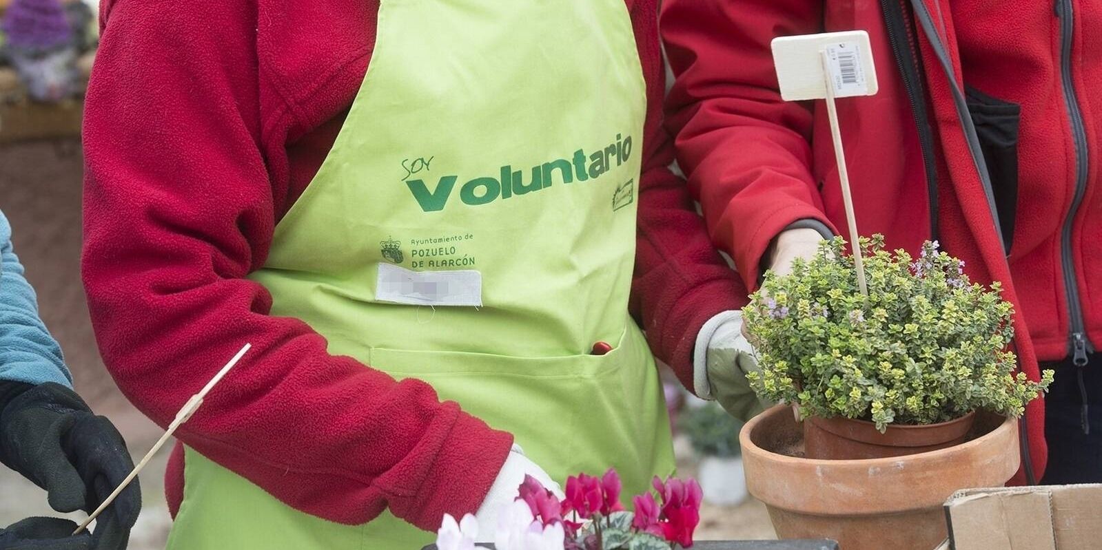 Nuevo impulso al voluntariado ambiental en Pozuelo en colaboración con la Fundación Adecco