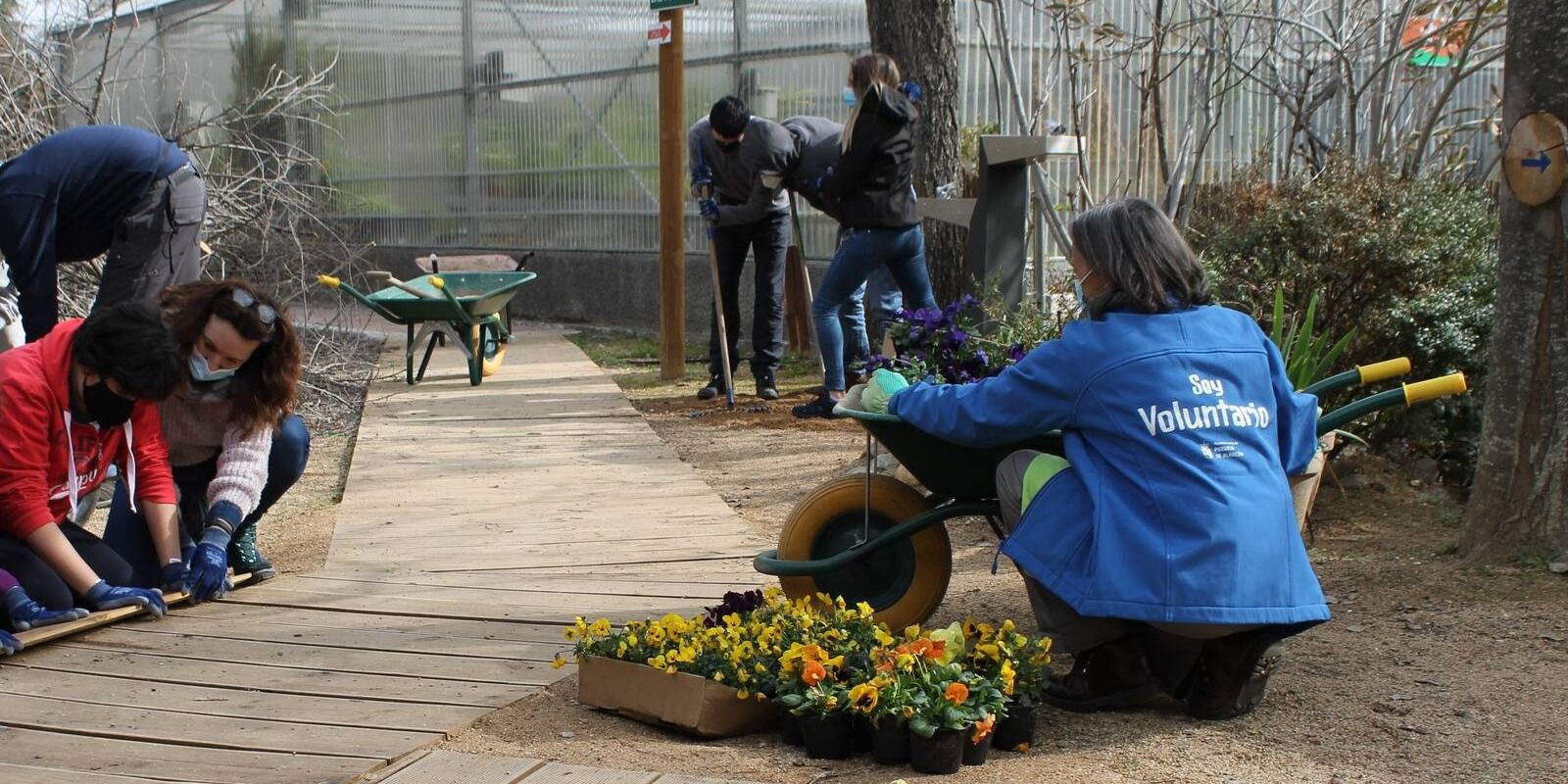 El Punto de Información al Voluntariado de Pozuelo renueva convenio con la Comunidad de Madrid