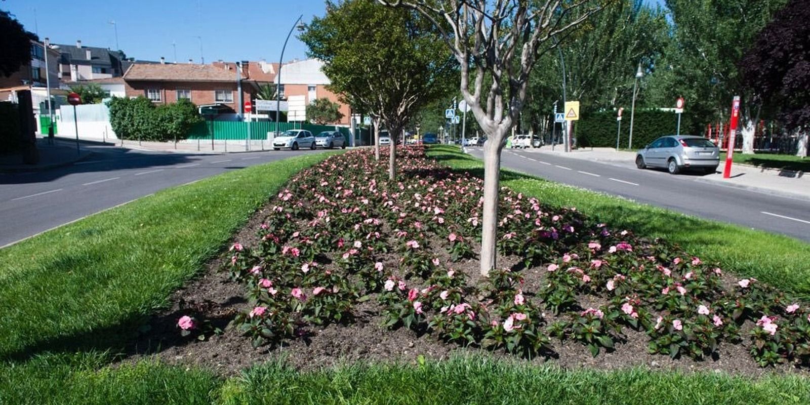 27.500 flores de temporada adornarán las calles de Pozuelo 