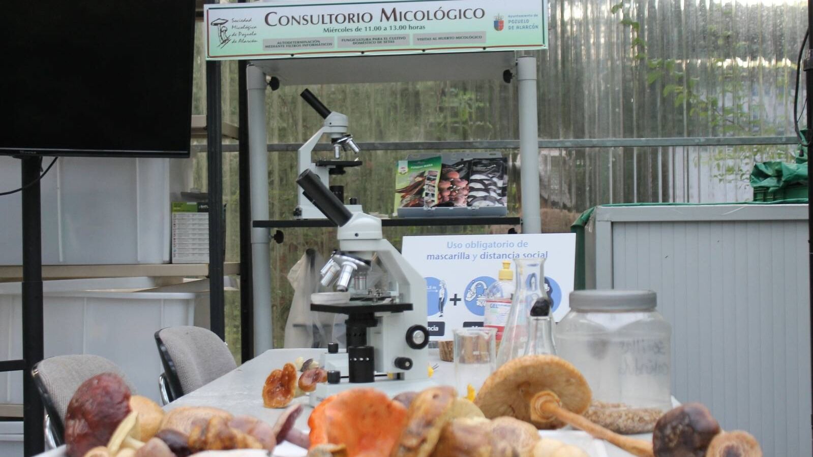 Los vecinos de Pozuelo podrán clasificar las setas recolectadas en el Aula de Educación Medioambiental