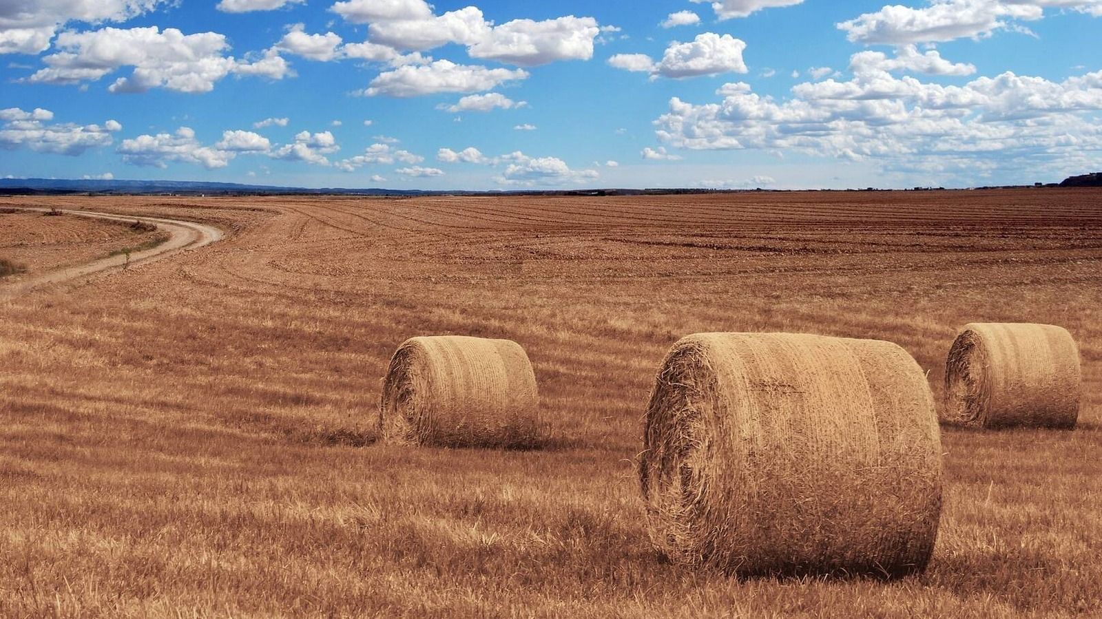 Las mejores tecnologías en la agricultura de precisión